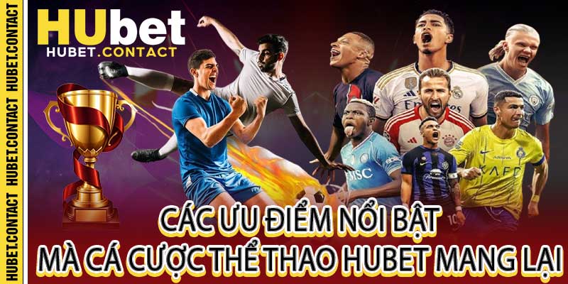 Thể Thao Hubet